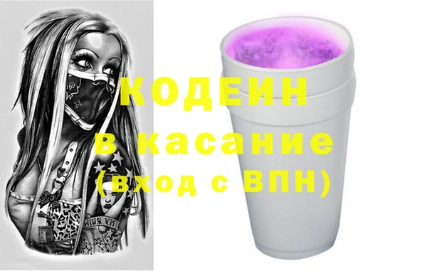 ПСИЛОЦИБИНОВЫЕ ГРИБЫ Арсеньев