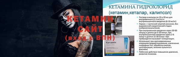 шишки Армянск