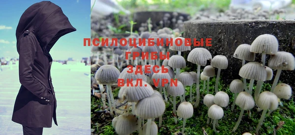 ПСИЛОЦИБИНОВЫЕ ГРИБЫ Арсеньев