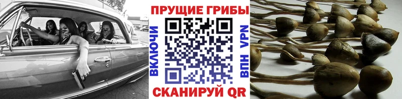 Псилоцибиновые грибы прущие грибы  МЕГА зеркало  Макарьев 